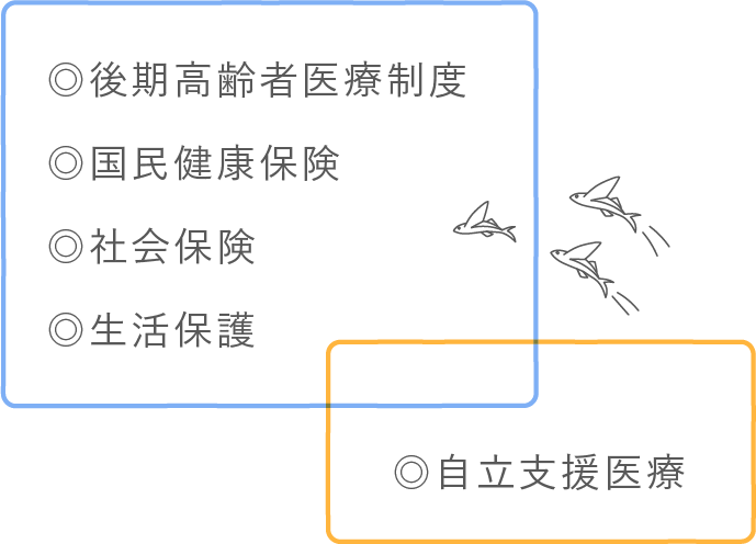 ◎後期高齢者医療制度 ◎国民健康保険 ◎社会保険 ◎生活保護 ◎自立支援医療